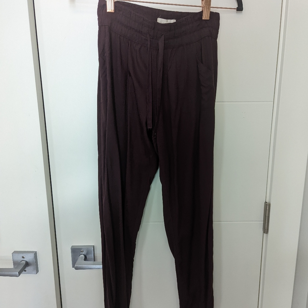 Aritzia pants